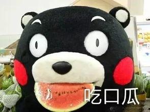 吃瓜歌动画,揭秘娱乐圈背后的甜蜜与苦涩