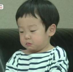 张三带你吃瓜,揭秘隐藏在美食背后的故事