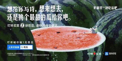 吃瓜煮茶的文案短句,品味生活百态