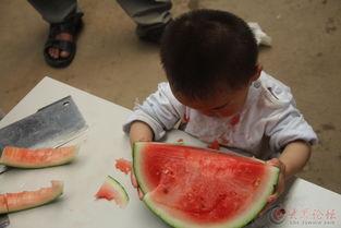 吃瓜小学僧,揭秘校园里的“瓜田”趣事