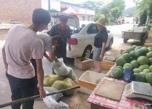 林州吃瓜后续报道,真相大白，各方反应汇总