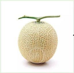 吃瓜群众吃白鹭,一场意外的美食邂逅