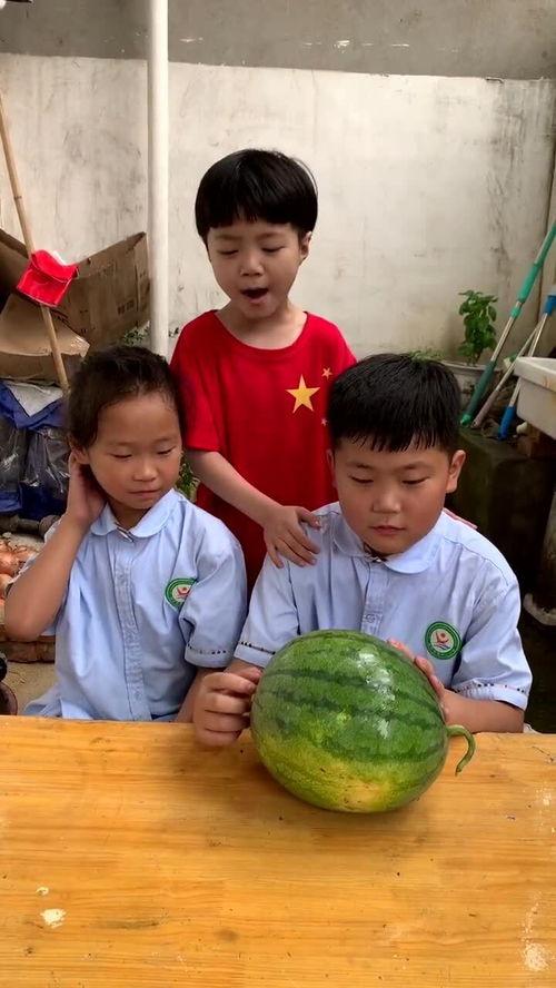 澳洲姐吃瓜,揭秘娱乐圈背后的那些事儿