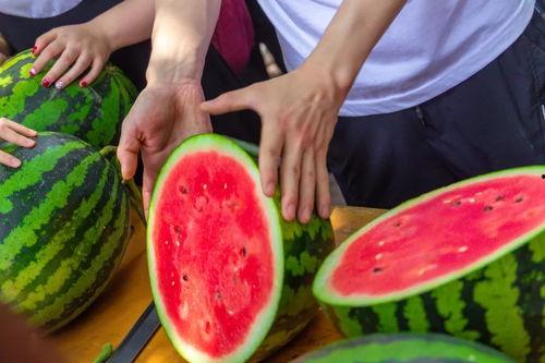 宿州学院闺蜜吃瓜