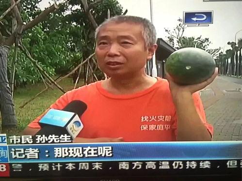 热门事件吃瓜正常,吃瓜群众如何成为舆论焦点