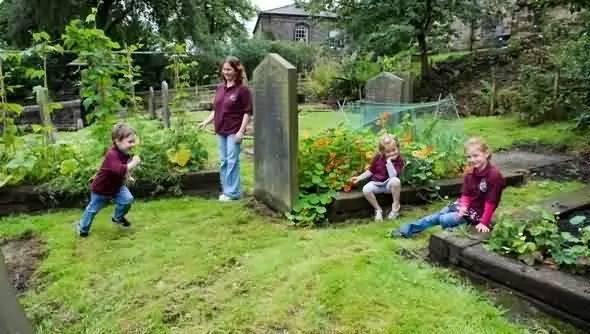 梦溪小镇吃瓜,瓜田里的欢乐时光