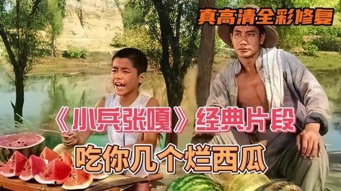 小兵张噶吃瓜,一场别开生面的夏日盛宴