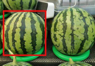 吃瓜不用甜小说,揭秘娱乐圈背后的甜蜜陷阱