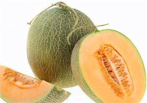 我想看吃哈密瓜,哈密瓜的清新滋味之旅