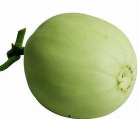 吃梨瓜放屁,梨瓜美食背后的“排气”秘密