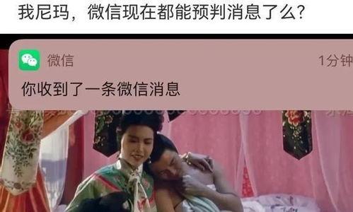 吃瓜不搞笑视频,揭秘网络短视频背后的趣味与争议