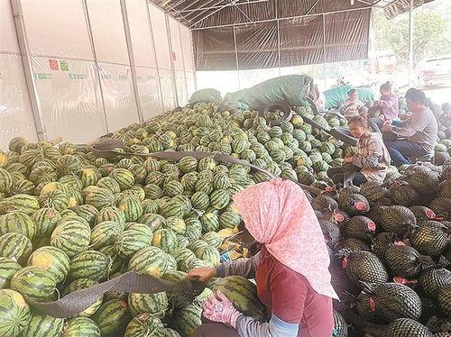 吃瓜芒市事件,揭秘网络谣言背后的真相