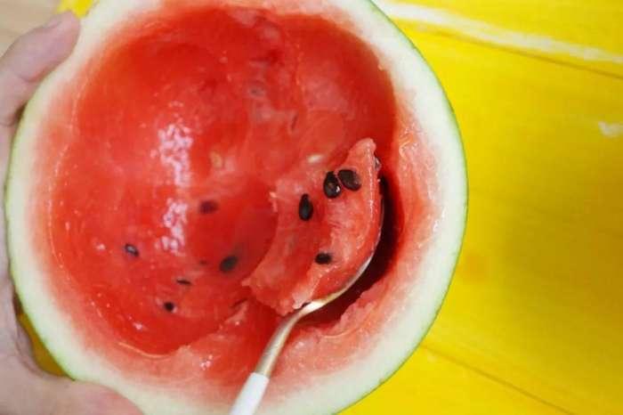 吃瓜吃冻瓜,吃瓜与冻瓜的完美邂逅