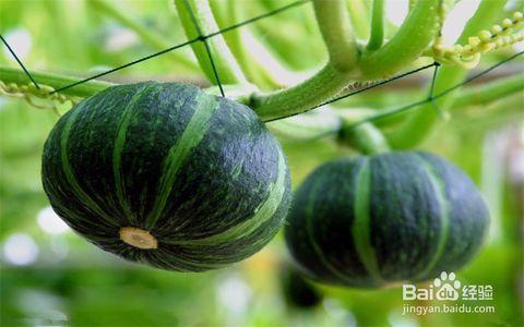 夏天怎么吃贝贝瓜好吃,美味吃法大揭秘