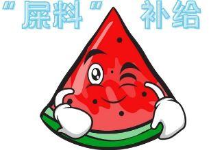 吃瓜现场懵圈,揭秘娱乐圈幕后真相