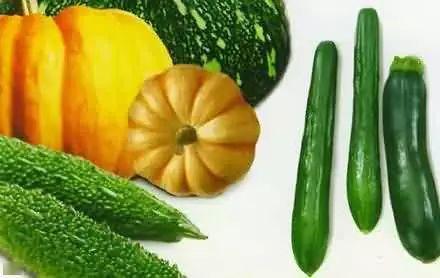 郑家庄吃瓜,瓜香四溢，夏日里的欢乐盛宴