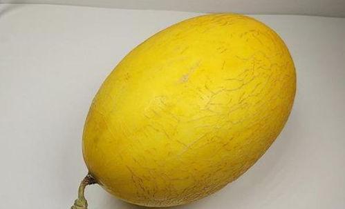 女性经期吃哈密瓜