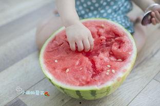 小雨会酿酒吃瓜,小雨的酿酒食瓜生活趣事