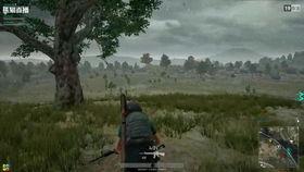 阿瓜直播间吃鸡,吃鸡狂欢，欢乐无限