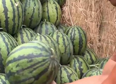 学新闻的吃瓜,揭秘娱乐圈幕后真相