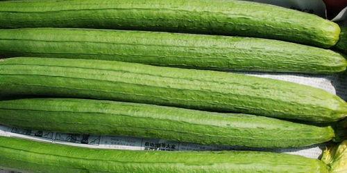 睡觉不如吃瓜,健康生活两不误